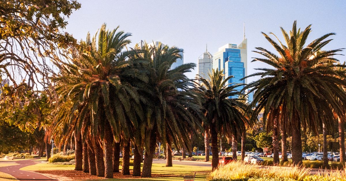Palm trees and the Perth city skyline, in a fast-growing city where meeting people is still hard